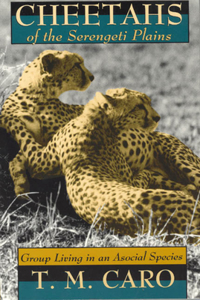 Cheetahs of the Serengeti Plains