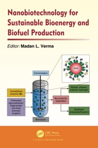 Nanobiotechnology for Sustainable Bioenergy and Biofuel Production