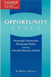 Opportunity Space