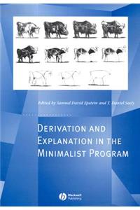 Derivation and Explanation in the Minimalist Program