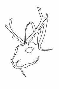 Creaturely Jackalope Notebook