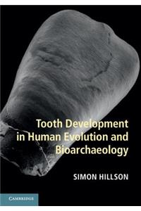 Tooth Development in Human Evolution and Bioarchaeology