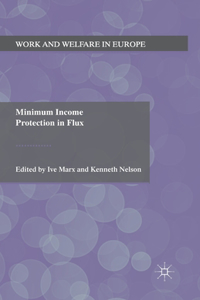 Minimum Income Protection in Flux