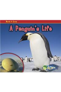 A Penguin's Life