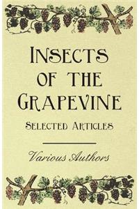 Insects of the Grapevine - Selected Articles