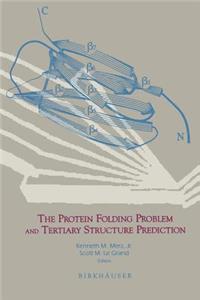 Protein Folding Problem and Tertiary Structure Prediction