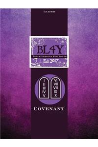 Bible Lessons Youth Leader - Fall 2017 Quarter