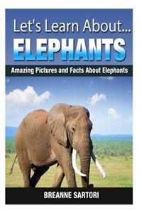 Elephants: Amazing Pictures and Facts about Elephants