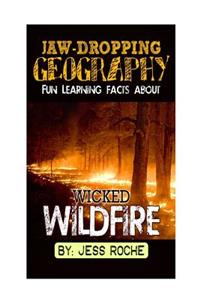 Jaw-Dropping Geography: Fun Learning Facts about Wicked Wildfires: Illustrated Fun Learning for Kids