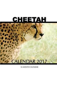 Cheetah Calendar 2017