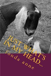 just what's in my head...