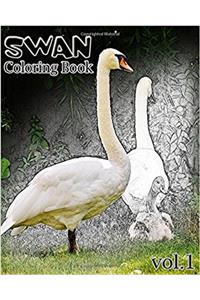 Swan