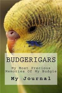 Budgerigars