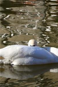 Sleeping Swan on the Water Journal
