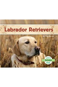 Labrador Retrievers