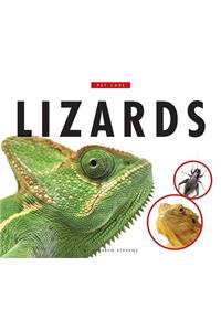 Lizards