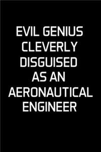 Evil Genius Cleverly Disguised as an Aeronautical Engineer