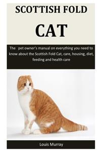 Scottish Fold Cat