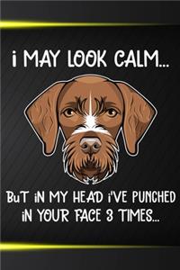 I May Look Calm But In My Head I've Punched In Your Face 3 Times
