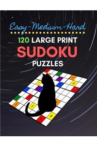 Easy Medium Hard 120 Large Print Sudoku Puzzles