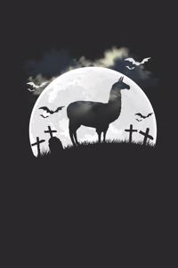 Llama