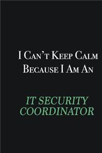 I cant Keep Calm because I am an IT Security Coordinator