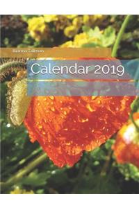 Calendar 2019