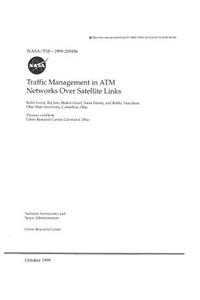 Traffic Management in ATM Networks Over Satellite Links