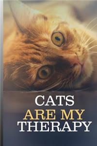 Cats Are My Therapy