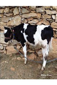 Baby Cow