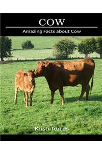 Amazing Facts about Cow