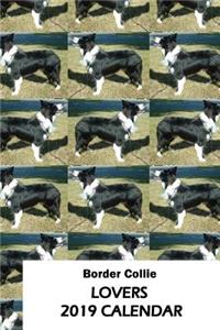 Border Collie Lovers 2019 Calendar