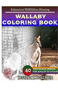 Wallaby Coloring Book for Adults Relaxation Meditation Blessing: Sketches Coloring Book 40 Grayscale Images
