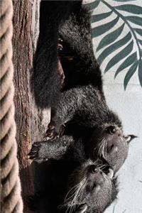 Binturong Bearcat Couple Relaxing Journal