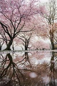 Pink Cherry Blossoms Reflection Journal