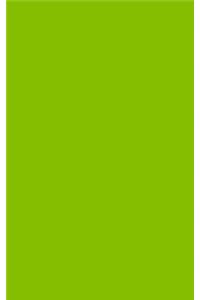 Lime Green 101 - Blank Notebook