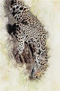 Watercolor of a Napping Jaguar Journal