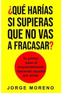 ?qu? Har?as Si Supieras Que No Vas a Fracasar?