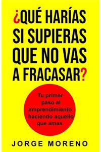 ¿qué Harías Si Supieras Que No Vas a Fracasar?