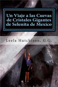 Un Viaje a las Cuevas de Cristales Gigantes de Selenita de Mexico