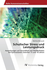 Schulischer Stress und Leistungsdruck