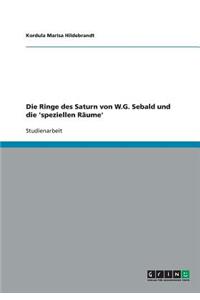 Die Ringe des Saturn von W.G. Sebald und die 'speziellen Räume'