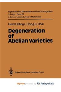 Degeneration of Abelian Varieties