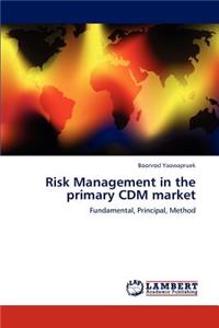 Risk Management in the primary CDM market