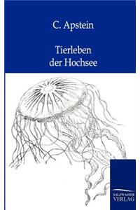 Tierleben der Hochsee