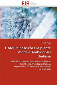 L Amp-Kinase Chez La Plante Mod?le Arabidopsis Thaliana