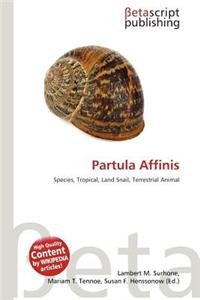 Partula Affinis