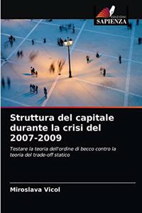 Struttura del capitale durante la crisi del 2007-2009