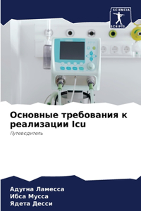 Основные требования к реализации Icu