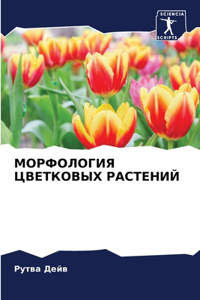 МОРФОЛОГИЯ ЦВЕТКОВЫХ РАСТЕНИЙ
